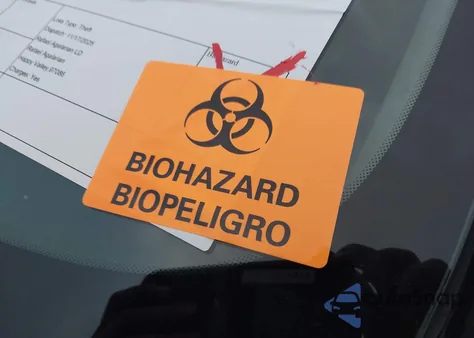 2019 Kia Sportage Lx z USA, uszkodzony, nr VIN KNDPM3AC3K7593151